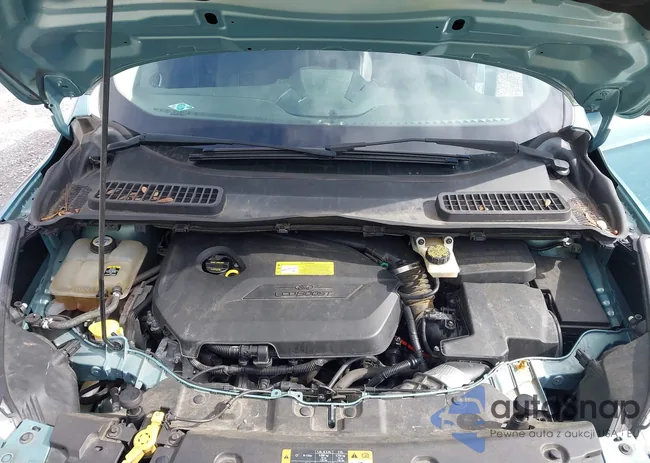 1FMCU0HX6DUD33249: 44157334