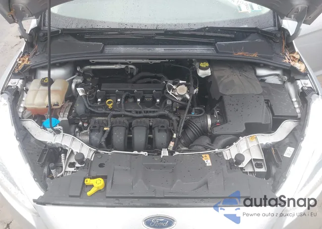 1FADP3E26JL209919: 44158491