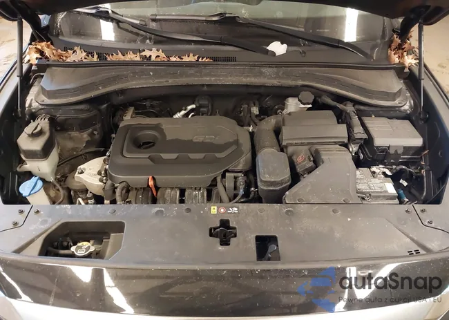 5NMS2CAD1LH284961: 44158530