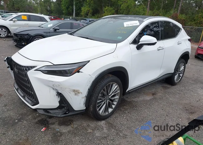 2T2HGCEZ1TC099666: 44158781