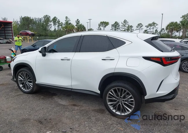 2T2HGCEZ1TC099666: 44158781