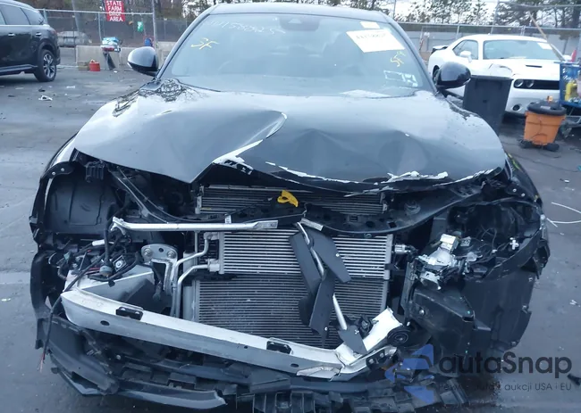 ZARFAMAN1P7668325: 44158825