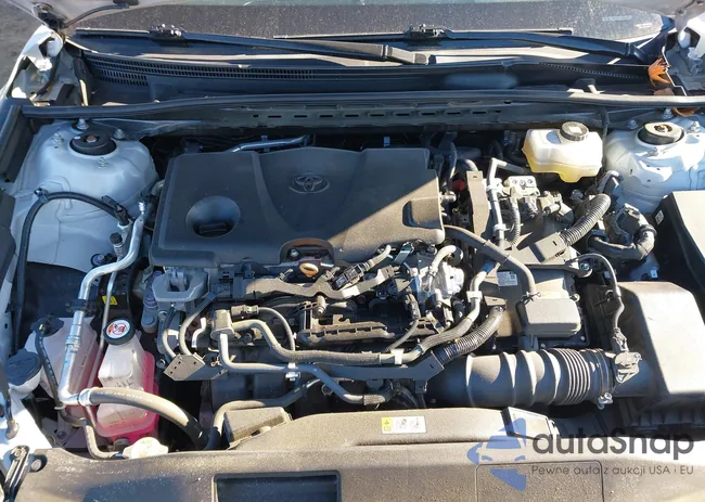 4T1C31AK2NU037802: 44159534