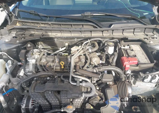 1N4BL4BV8PN377887: 44159699