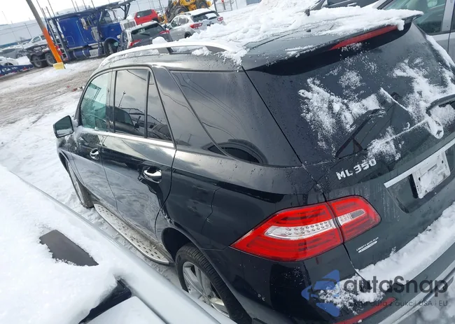 4JGDA5HB3EA392695: 44159798