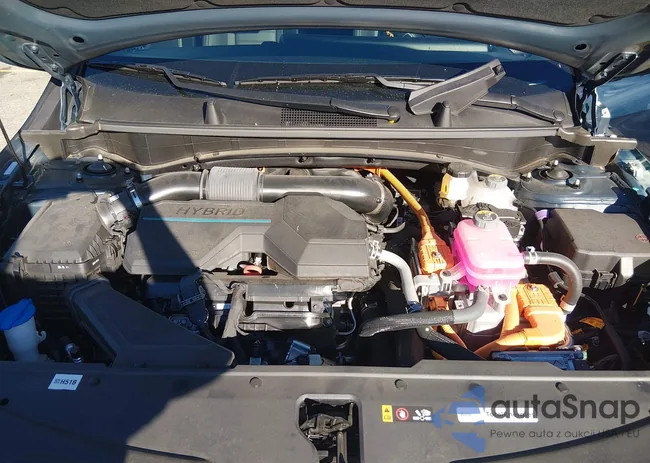 KNDPXCDG6R7161251: 44159180