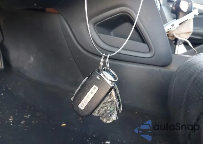 1C3CDFCB4FD122500: 44160534