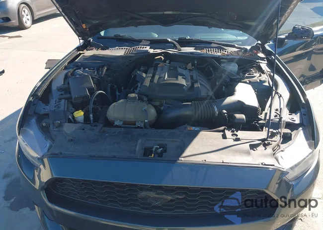 1FA6P8TH3F5434940: 44160884