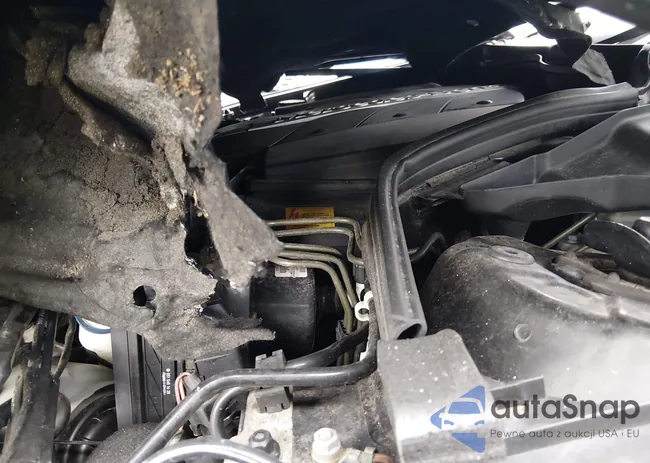 WDBTK65JX5F147294: 44160898