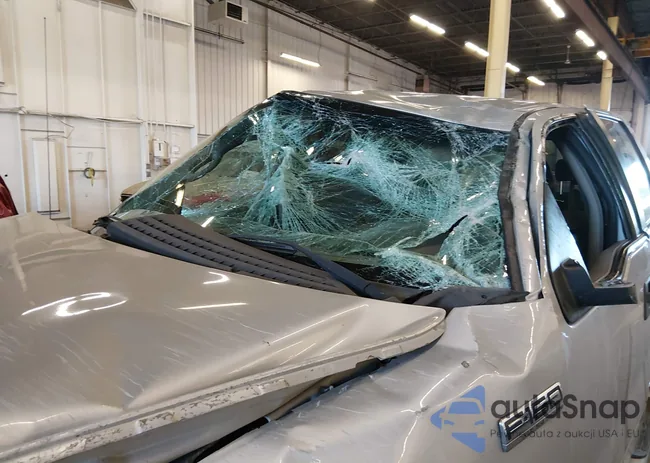 1FTPW14V08FB56069: 44161010