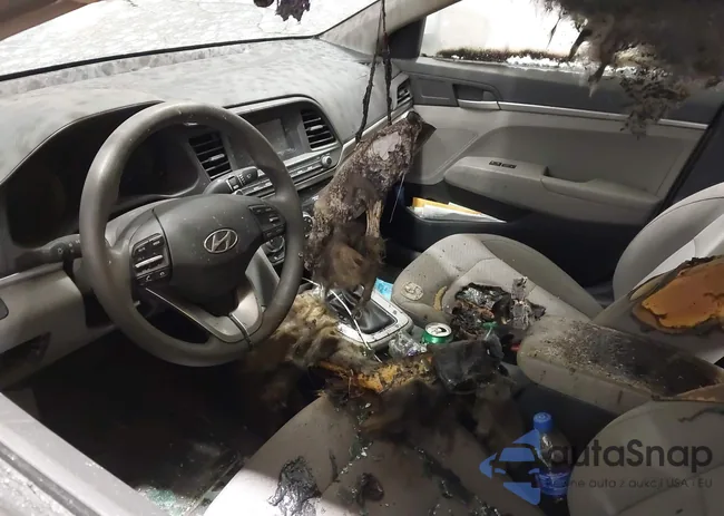 5NPD74LF2KH469116: 44161560