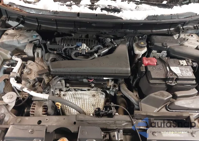 5N1AT2MV5LC793131: 44161811