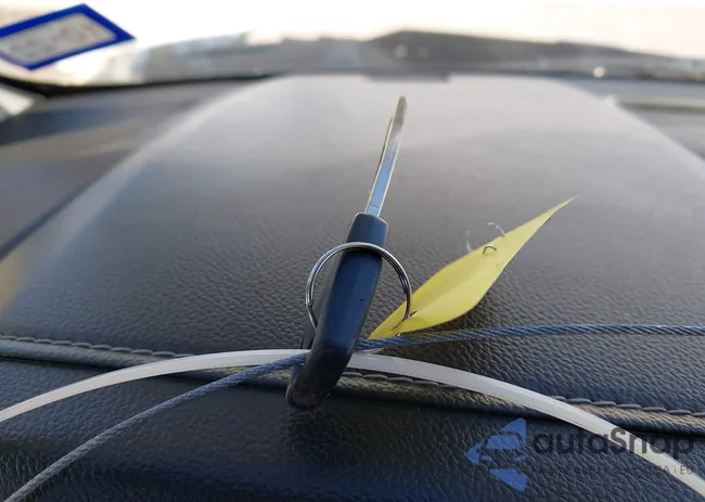 1GNSCHKC8KR346230: 44161231