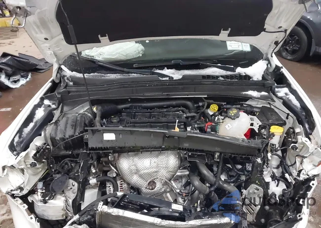 ZACNJDBB5MPN16800: 44162803