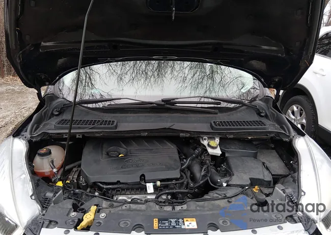 1FMCU0HD5JUB08788: 44162997