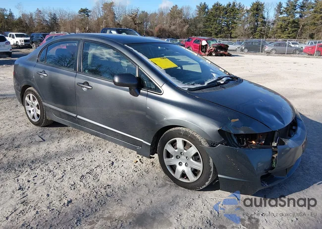 2HGFA1F56BH309794: 44163991