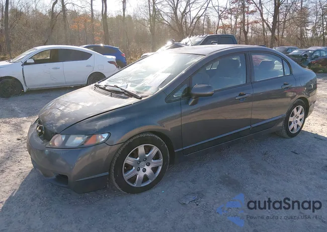 2HGFA1F56BH309794: 44163991