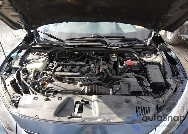 2HGFC1F77HH647497: 44163097