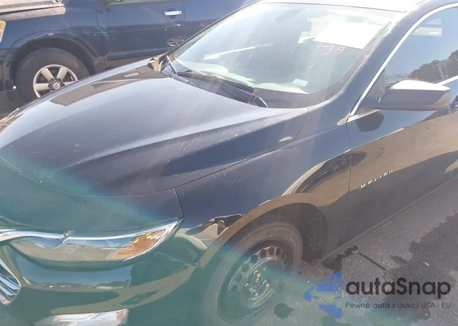 1G1ZB5ST5KF124621: 44164609