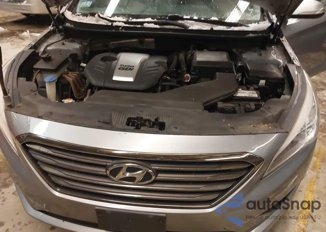 5NPE24AA8FH118131: 44164792