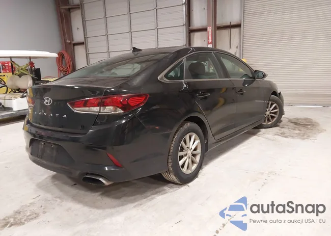 5NPE24AF6KH784877: 44164979