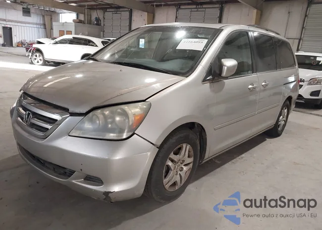 5FNRL38646B409461: 44164095