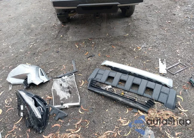 3TYKB5FN3RT010894: 44164116