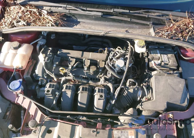 1FADP3H25HL241136: 44164375