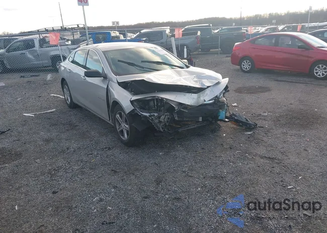 1G1ZB5ST6KF185556: 44164444