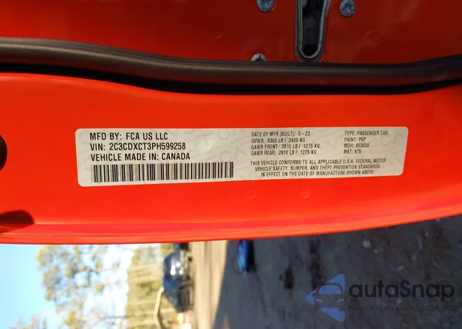 2C3CDXCT3PH599258: 44165610