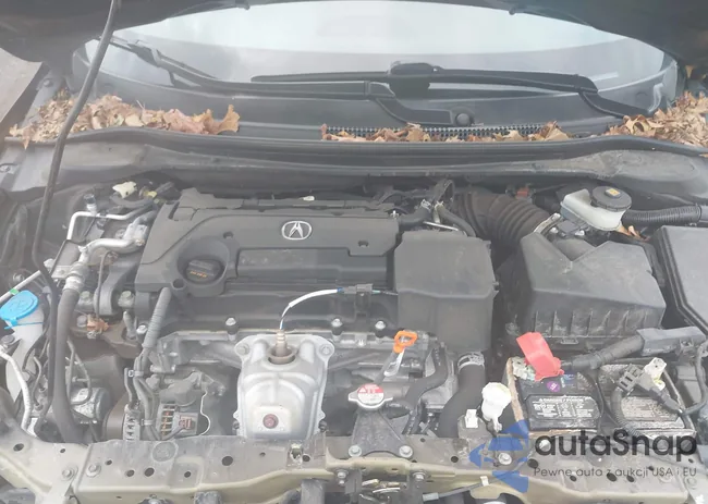 19UDE2F31MA007749: 44165912