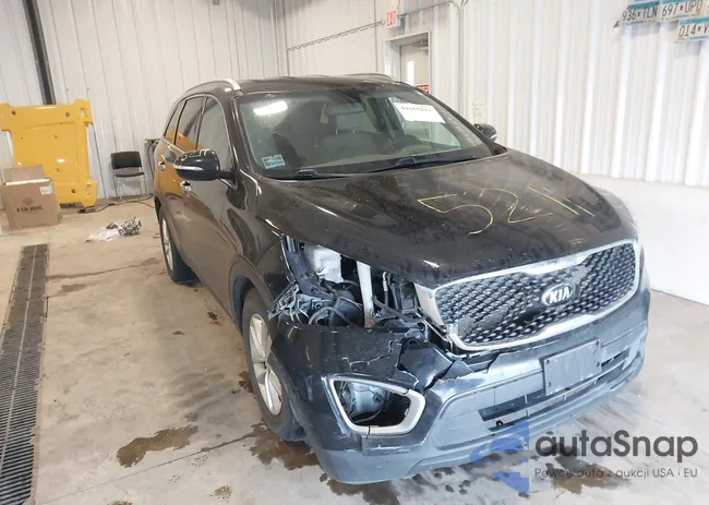 5XYPG4A58HG225087: 44165211