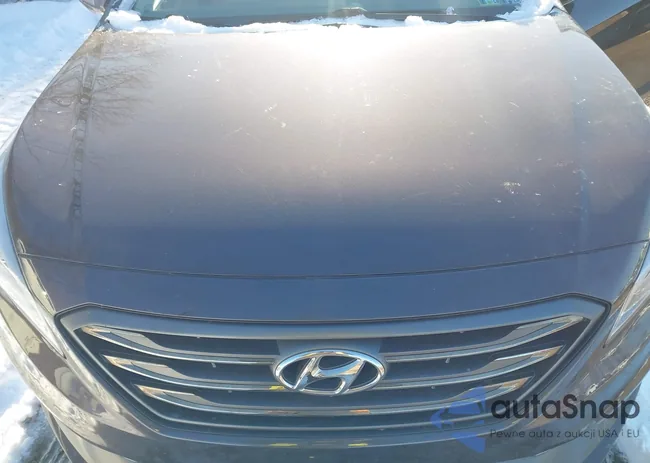 5NPE34AF1HH539152: 44165319