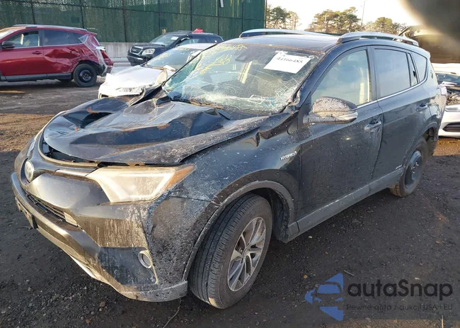 JTMRJREV5GD004500: 44166485