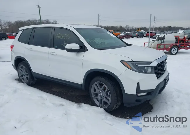 5FNYF8H55PB010258: 44166720