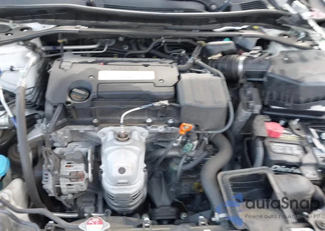 1HGCR2F8XFA202831: 44166820