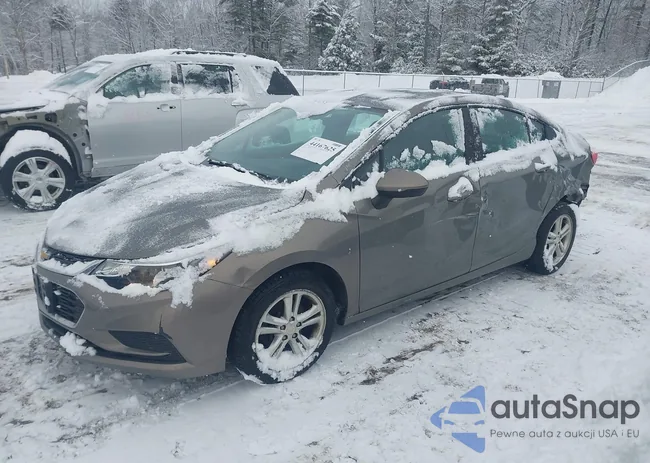 1G1BE5SM1H7223781: 44167625