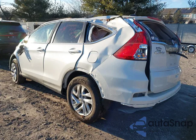 5J6RM4H74FL119286: 44167909