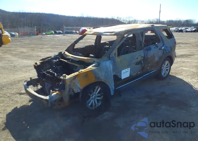 1FM5K8D8XFGA81762: 44168863