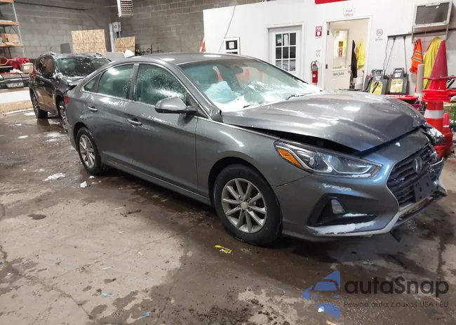 5NPE24AF7KH781857: 44168083