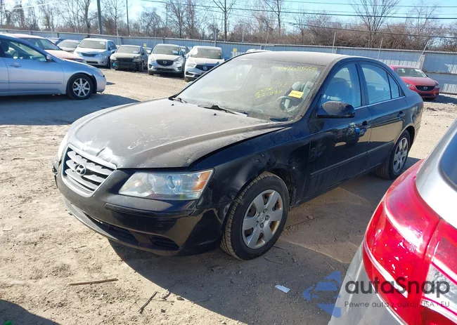 5NPET46C69H507183: 44169568