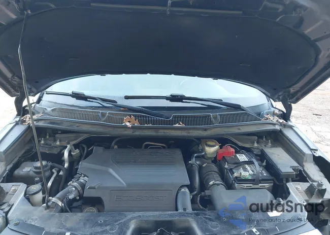 1FM5K8HT8HGD17505: 44169814