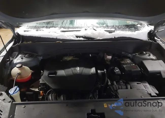 5XYRLDLCXMG046009: 44169823