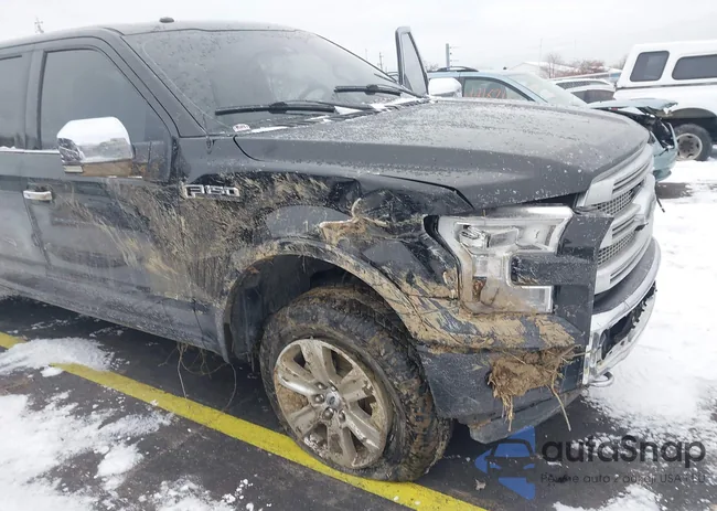 1FTEW1EF8GFD26921: 44169844