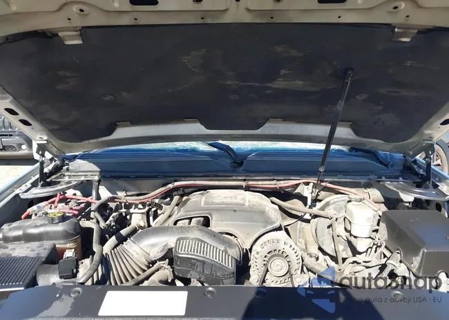 1GNSCBE02DR170311: 44170227