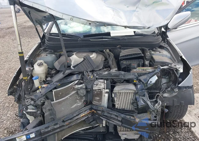 5NPEC4AB5DH537265: 44171698