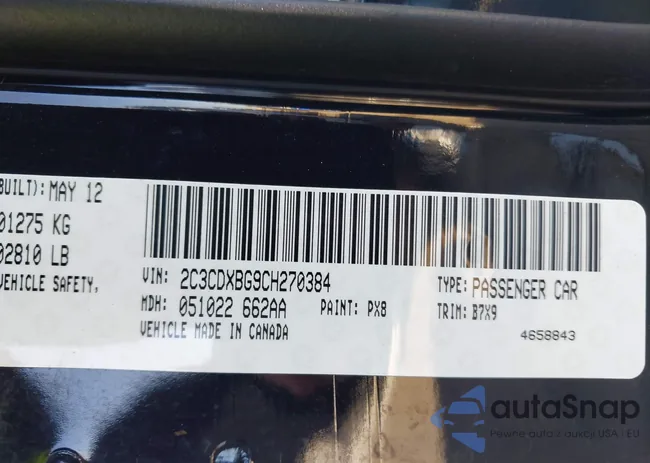 2C3CDXBG9CH270384: 44172020