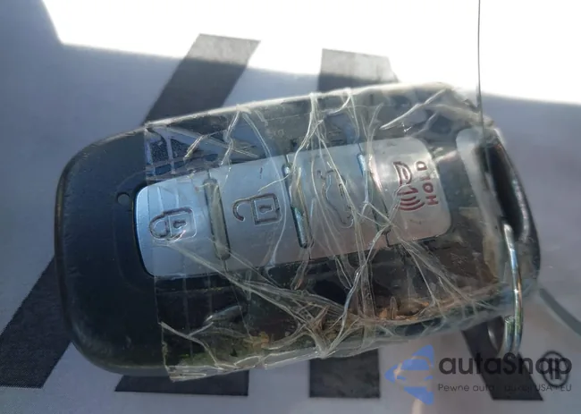 5NPEC4AB3BH318219: 44171315