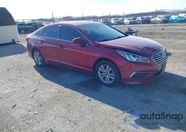 5NPE24AF4GH318677: 44172973