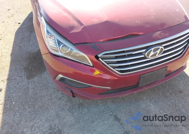 5NPE24AF4GH318677: 44172973